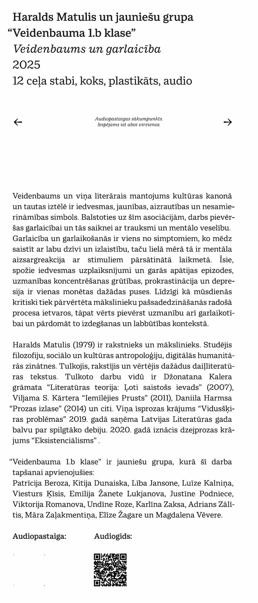 1-VG-anotacijas-plaksne